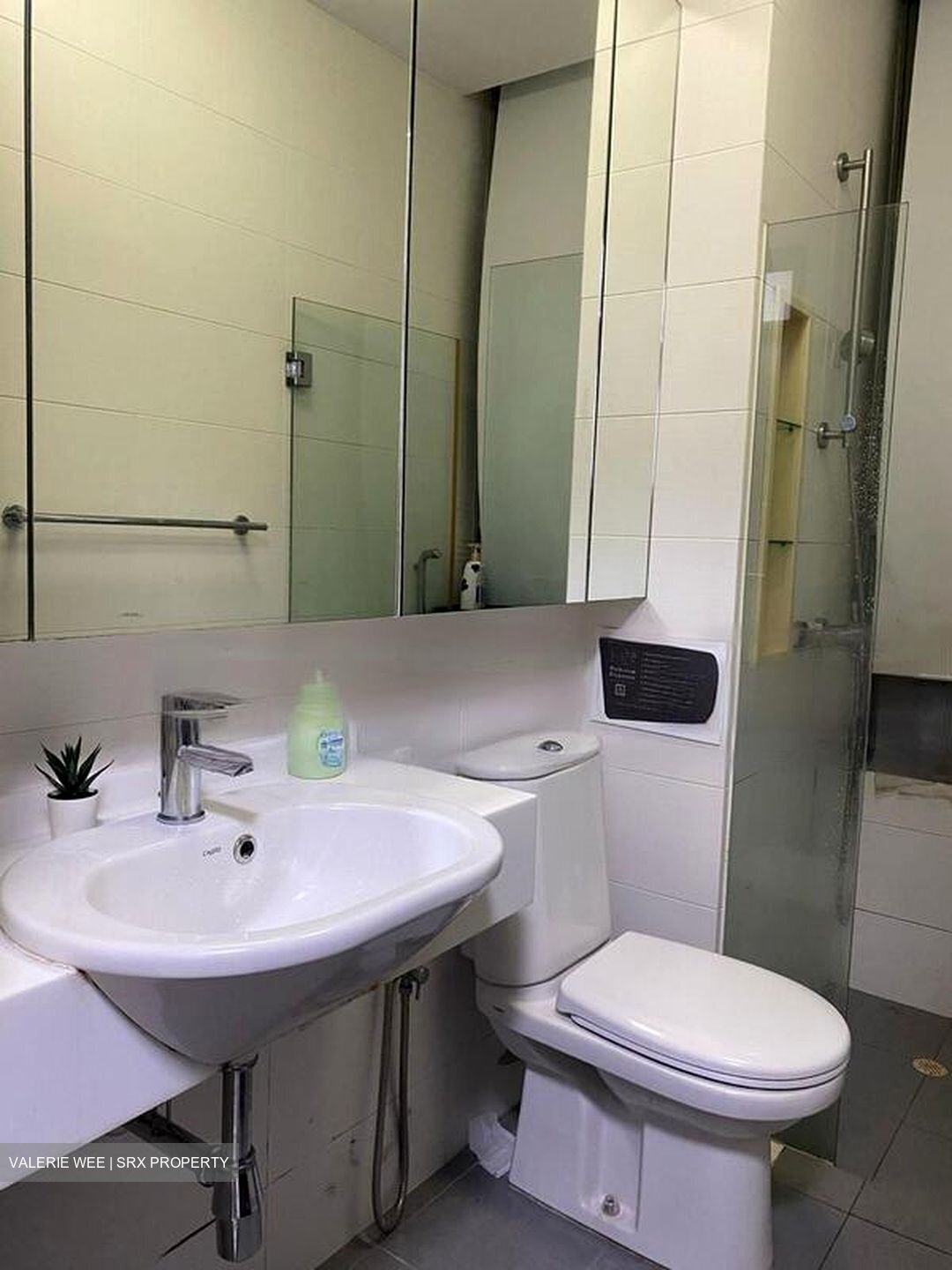 Suffolk Premier (D11), Apartment #457337881